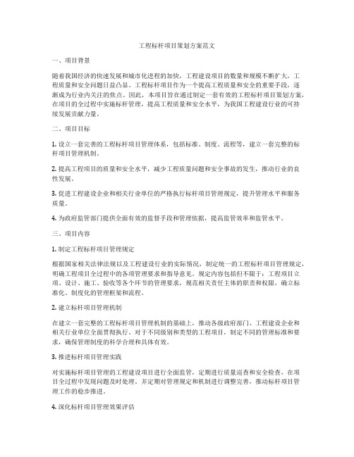 工程标杆项目策划方案范文