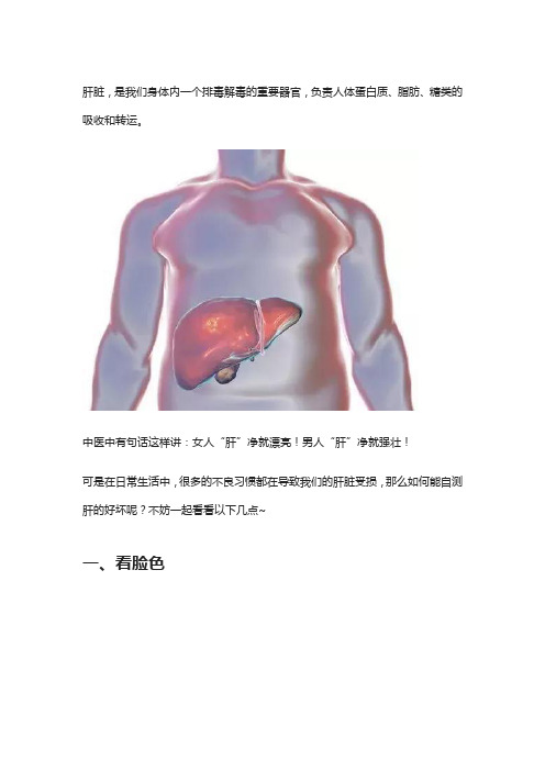 肝不好的人,身体上会出现这四种信号,那是在暗示你,别不在意!