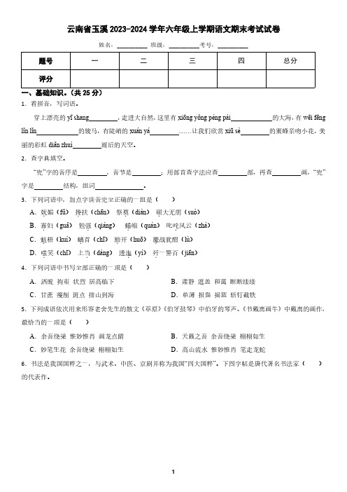 云南省玉溪市2023-2024学年六年级上学期语文期末试卷(含答案)