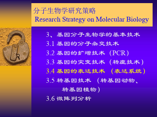 基因表达系统及技术