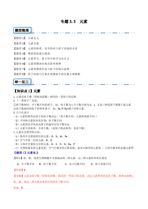 专题3.3元素(八大题型)-2023-2024学年九年级化学上册举一反三(人教版)