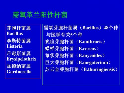 9需氧革兰阳性杆菌