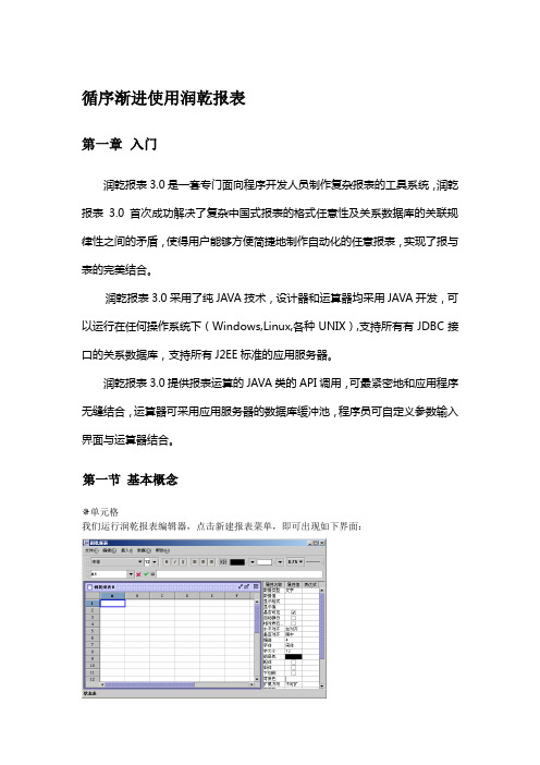 循序渐进使用润乾报表3.0