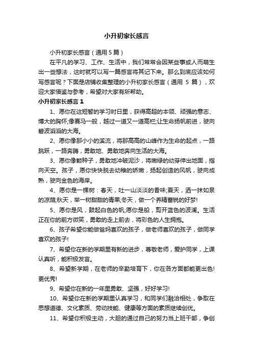 小升初家长感言