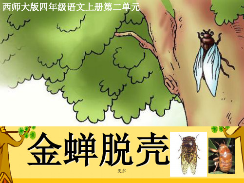 西师大版小学四年级上册语文第8课《金蝉脱壳》课件