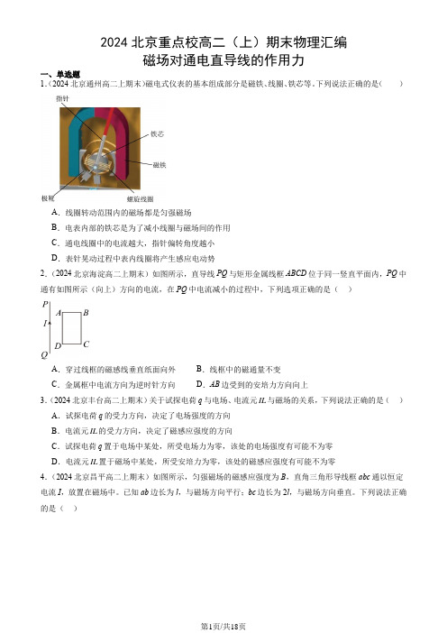 2024北京重点校高二(上)期末物理汇编：磁场对通电直导线的作用力