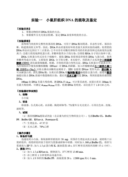 《分子生物学检验技术》实验指导