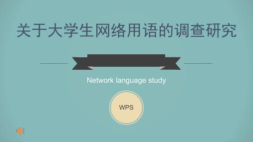 关于大学生网络用语的调查研究