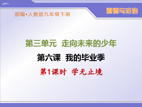 部编人教版九年级下册道德与法治《学无止境》优秀课件