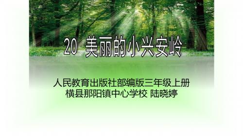 部编小学三年级上册《六单元20 美丽的小兴安岭》陆晓婷PPT课件 一等奖新名师优质公开课获奖比赛人教版