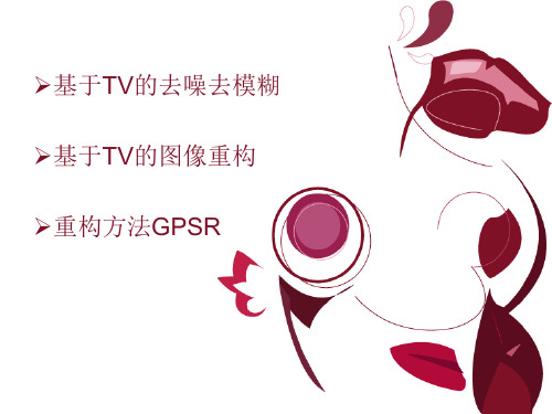 压缩感知_基于TV的去噪去模糊 以及GPSR方法的介绍.