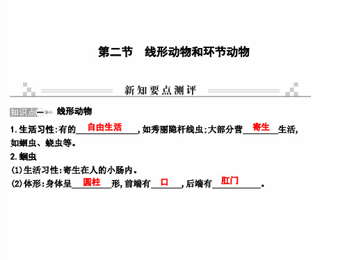 最新人教版八年级上册生物 第一章 动物的主要类群 第二节 线形动物和环节动物