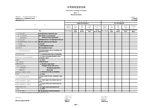 2012年度会计报表-英文