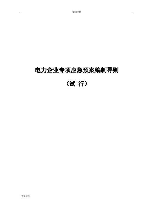 电力企业专项应急预案编制导则(试行)