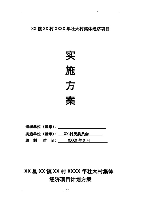 某镇某村发展壮大村集体经济基金村级使用实施方案