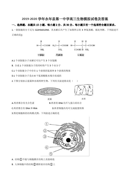 2019-2020学年永年县第一中学高三生物模拟试卷及答案