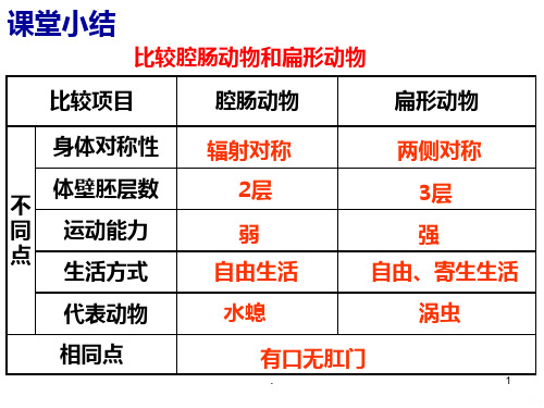 第二节 线形动物和环节动物PPT课件