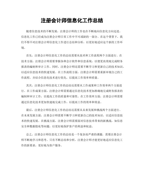 注册会计师信息化工作总结