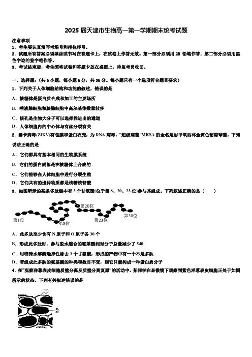 2025届天津市生物高一第一学期期末统考试题含解析