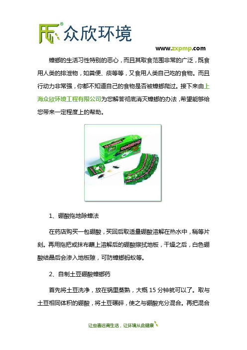 怎样彻底灭蟑螂