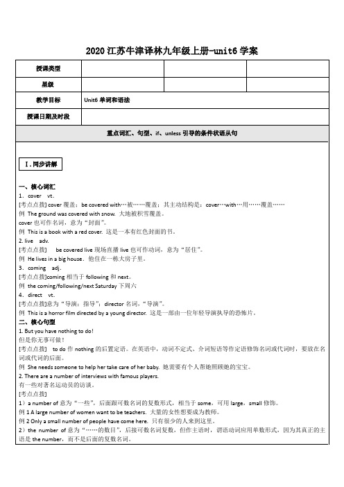 2020江苏牛津译林九年级上册Unit6学案设计(无答案)