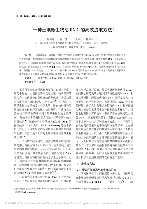 一种土壤微生物总DNA的高效提取方法