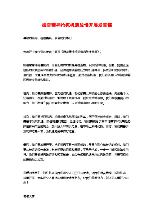 振奋精神抢抓机遇放慢开展发言稿 (3)