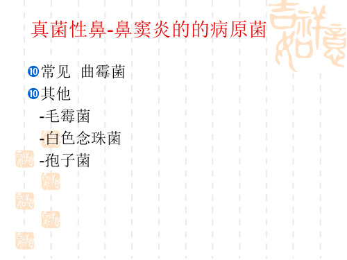 医学课件真菌性鼻-鼻窦炎