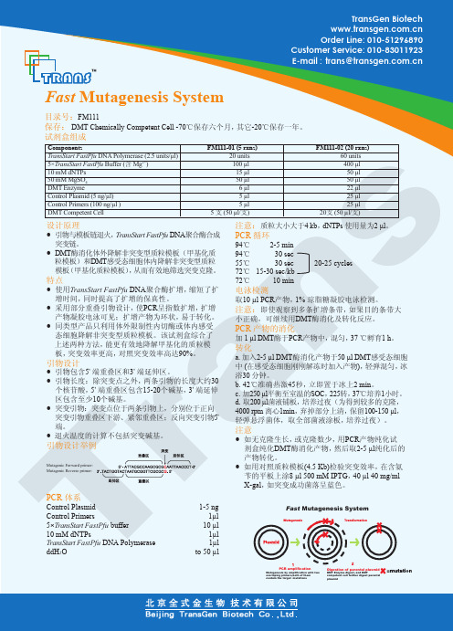 Fast Mutagenesis System