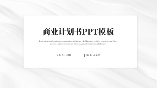 商业计划书PPT模板(简约版)