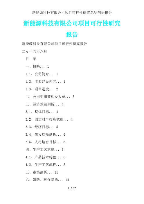 新能源科技有限公司项目可行性研究总结分析报告