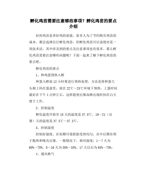 孵化鸡苗需要注意哪些事项？孵化鸡苗的要点介绍