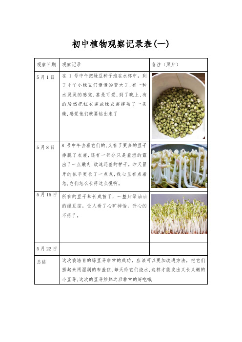 初中植物观察记录表