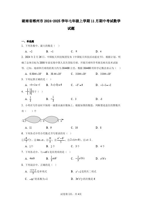 湖南省郴州市2024-2025学年七年级上学期11月期中考试数学试题