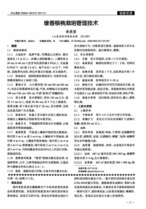 绿香核桃栽培管理技术