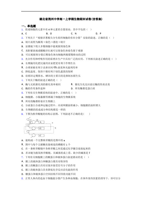 湖北省荆州中学高一上学期生物期末试卷(含答案)