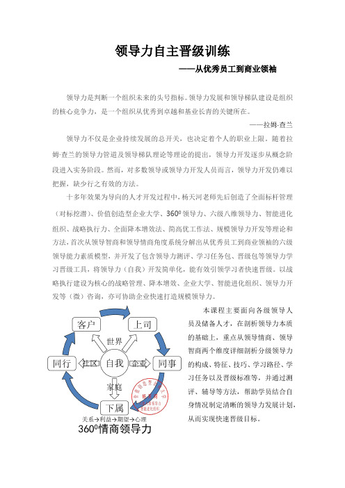 领导力自主晋级训练：从优秀员工到商业领袖(杨天河)