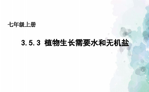 苏教版生物-七年级上册3.5.3植物生长需要水和无机盐课件