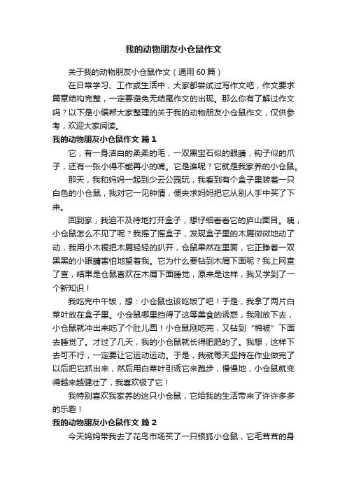 我的动物朋友小仓鼠作文