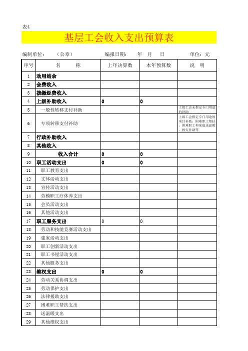 基层工会收入支出预算表