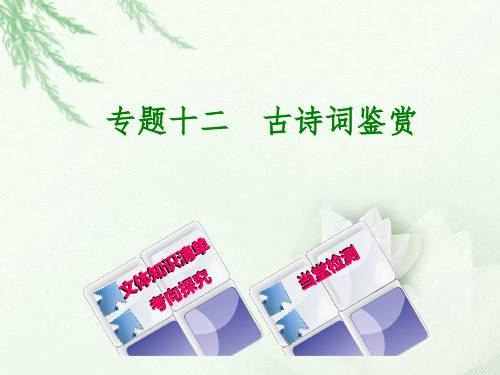 浙江专版2018年中考语文第3篇古诗文阅读专题十二古诗词鉴赏复习ppt课件