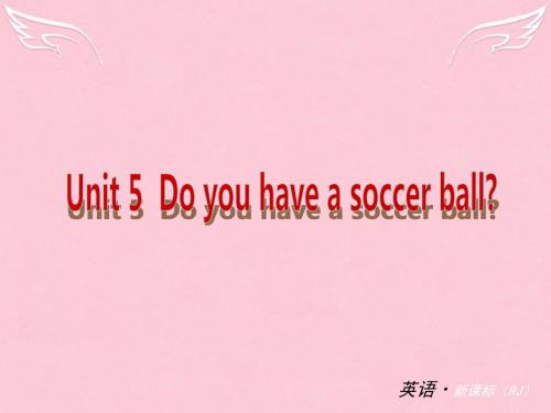 【备考】中考英语总复习 七年级上册 Unit 5 Do you have a soccer ba