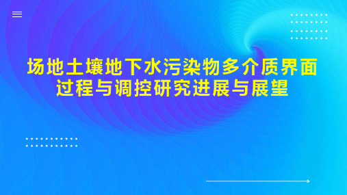 场地土壤地下水污染物多介质界面过程与调控研究进展与展望