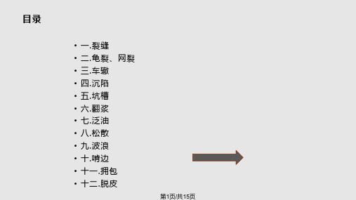 沥青路面常见病害PPT课件