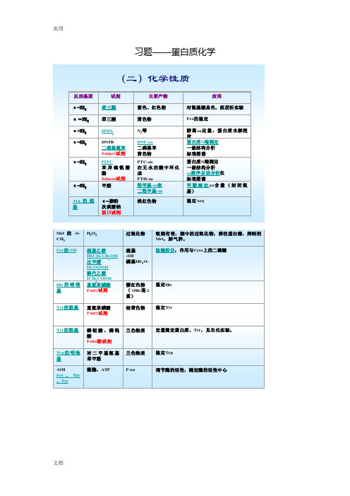 蛋白质化学习题参考问题详解