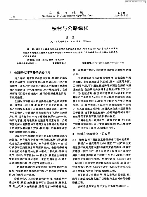 桉树与公路绿化