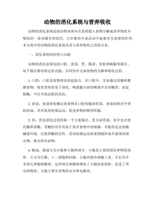 动物的消化系统与营养吸收