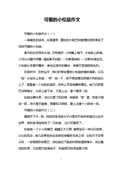 可爱的小松鼠作文