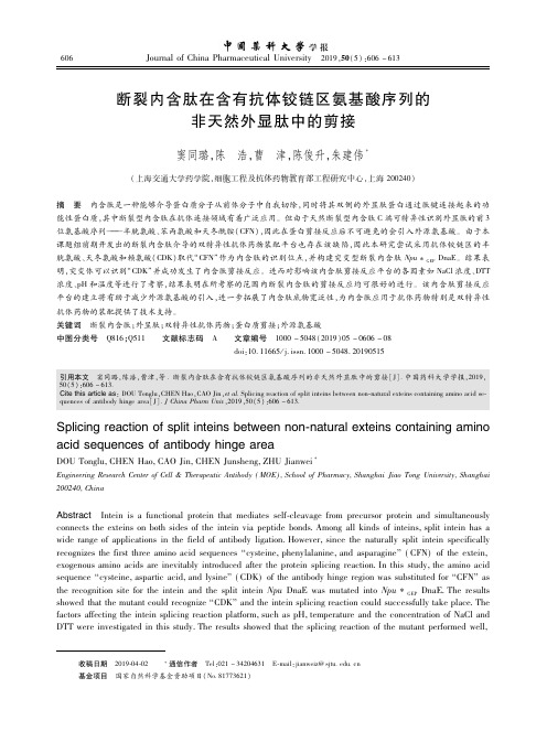 断裂内含肽在含有抗体铰链区氨基酸序列的非天然外显肽中的剪接