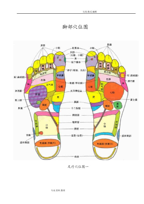 脚部穴位图全面[图文]